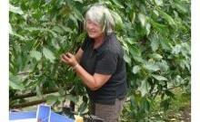 Kersenteler Haarsteeg kiest voor 65plus